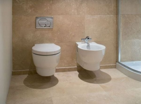 Унитаз подвесной Jacob Delafon Ove  E1585-00