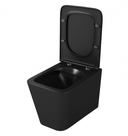 Унитаз подвесной  безободковый OWL Vatter Ruta-H  Matt Black с сиденьем DP микролифт OWLT190404 Унитаз подвесной  безободковый OWL Vatter Ruta-H  Matt Black с сиденьем DP микролифт OWLT190404