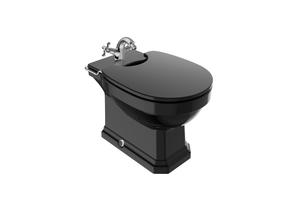 Биде напольное Roca Carmen 3570A4560 черный