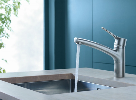 Смеситель для кухни Kludi Trendo 335750575