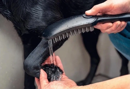 Ручной душ для мытья собак Hansgrohe DogShower 26640670 черный матовый