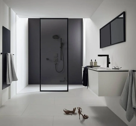 Верхний душ Hansgrohe Pulsify 260 2jet EcoSmart 24151670
