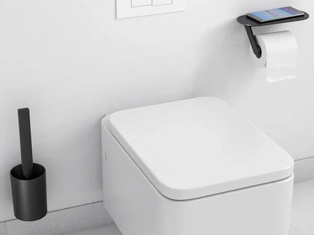 Держатель для туалетной бумаги Hansgrohe WallStoris 27928670 черный матовый