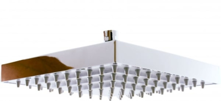 Душевая головка RAV PS0039