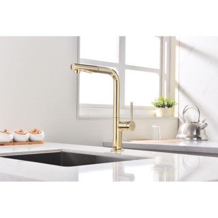 Смеситель для кухни Paulmark Neo Ne214419-G