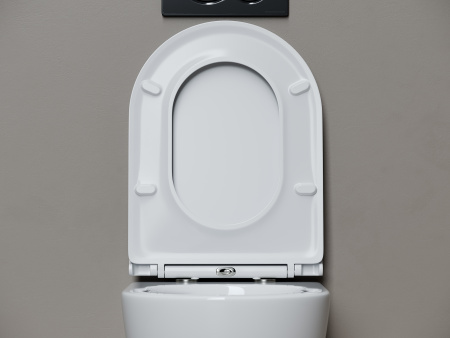 Унитаз подвесной Ceramicanova Whirl торнадо 3.0 CN11007T сиденье микролифт 