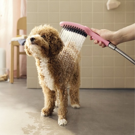 Ручной душ для мытья собак Hansgrohe DogShower 26640560 розовый