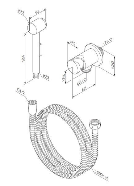 Гигиеническая лейка со шлангом и держателем Am.Pm F0202100