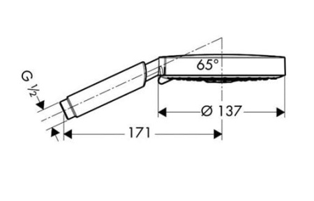 Ручная лейка Hansgrohe Raindance 28519000