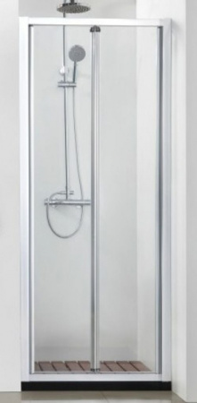 Душевая дверь Bravat Line BD100.4121A