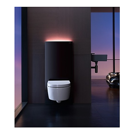 Сантехнический модуль Geberit Monolith Plus для подвесного унитаза, 101 см, 131.221.SJ.5