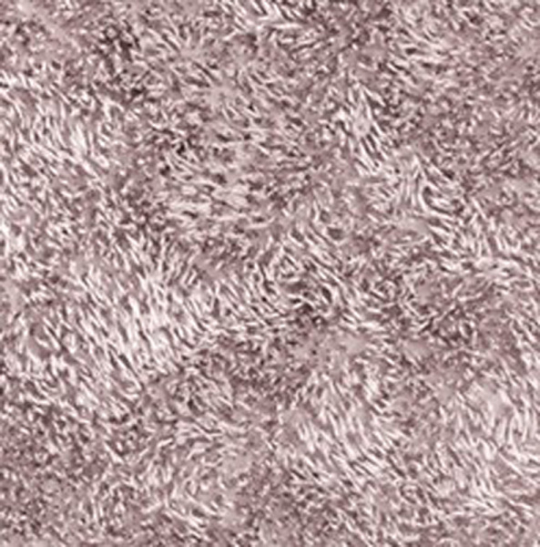 Коврик для ванной комнаты  WasserKRAFT Kammel BM-8309