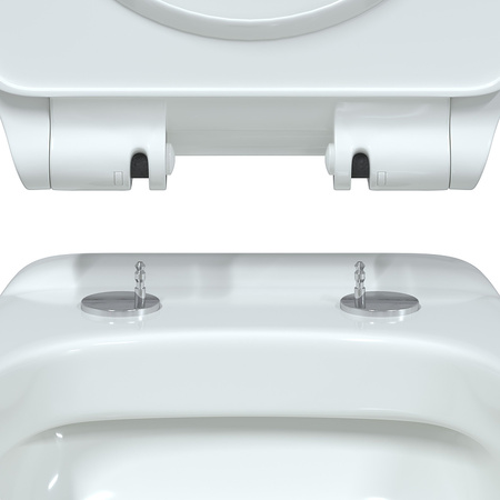 Унитаз Berges Wasserhaus Albit S Rimless 082147