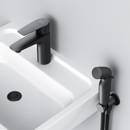 Смеситель для раковины с гигиеническим душем Am.Pm Gem F90A03022