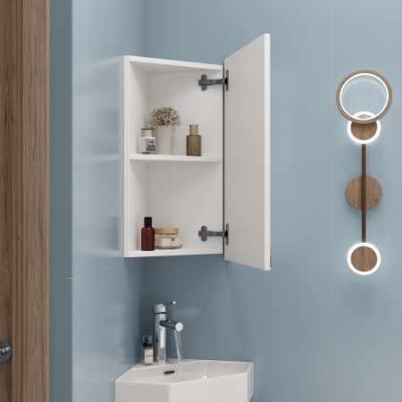 Зеркало-шкаф Onika Мини 30 (40x63) 303002