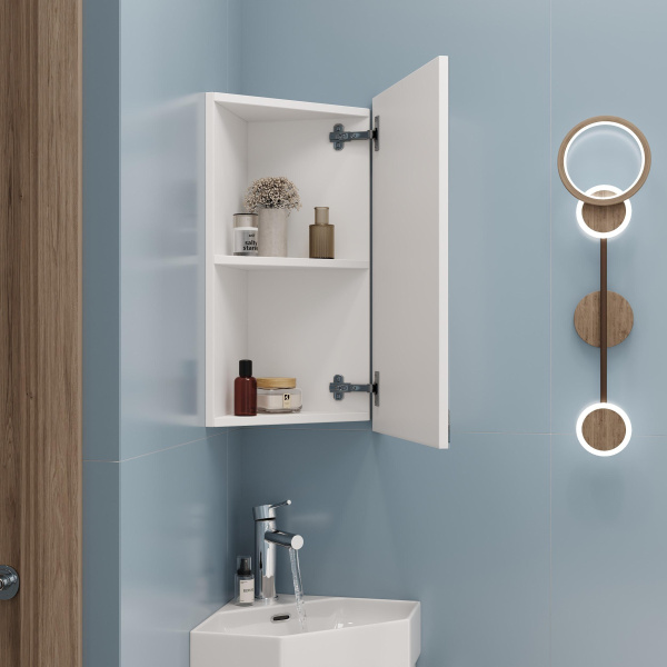 Зеркало-шкаф Onika Мини 30 (40x63) 303002