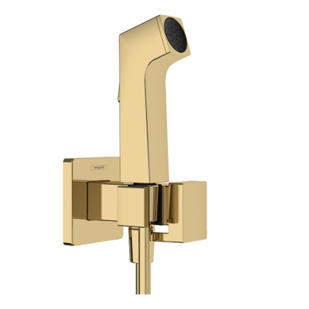 Гигиенический набор Hansgrohe Bidette E 1jet EcoSmart+ 29233990 полированное золото 