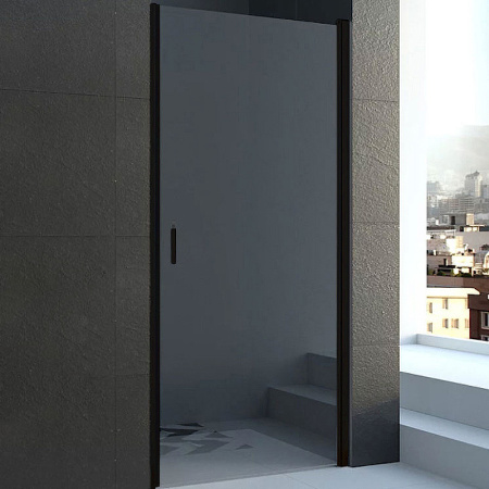 Душевая дверь Veconi Vianno VN-43, (80x195) VN43-80-01-C5