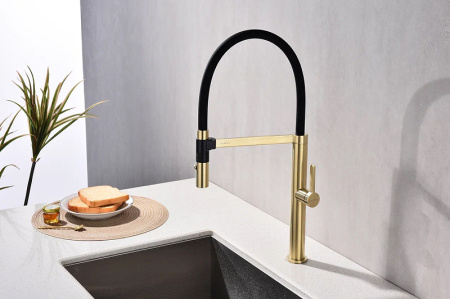 Смеситель для кухни Paulmark Leader Le214101-SBG