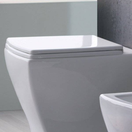 Крышка-сиденье Duroplast CERAMICA ALA CRAZY 25CWCS, белая