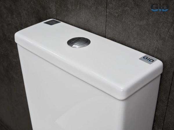 Напольный унитаз с бачком безободковый Gid Tn2189TF