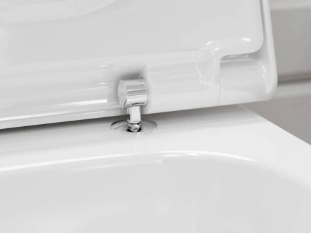 Унитаз подвесной безободковый Hansgrohe CreekTide Q 60203450 без микролифта