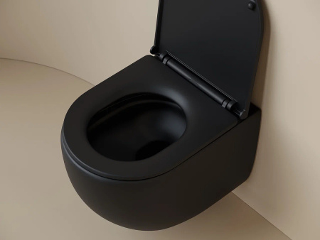 Подвесной унитаз Ceramicanova Uno Rimless CN4007MB