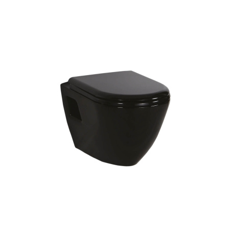 Унитаз подвесной Creavit TERRA TP325-11SI00E-0000
