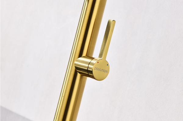 Смеситель для кухни Paulmark Leader Le214101-BG