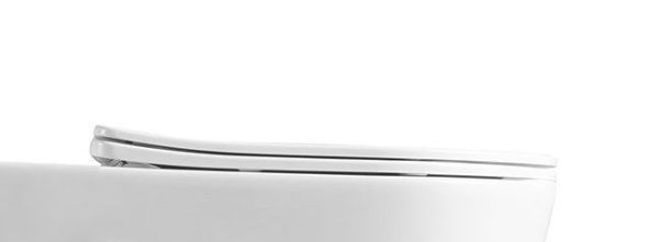 Сиденье для унитаза с микролифтом из дюропласта Art&Max Zoe AM9322C1SC