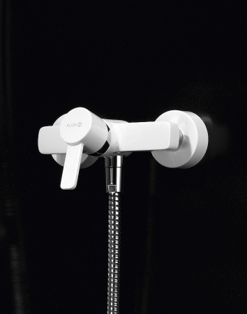 Смеситель для душа Kludi Zenta 388709175