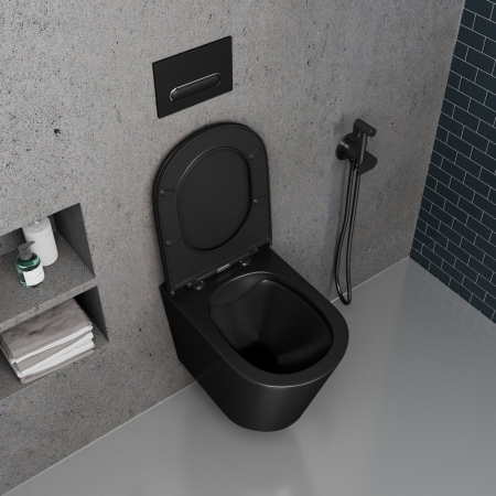 Унитаз подвесной безободковый D&K Venice (DT1026025)
