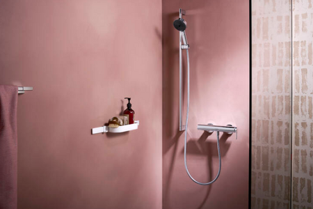 Крючок Hansgrohe WallStoris 27914700 белый матовый