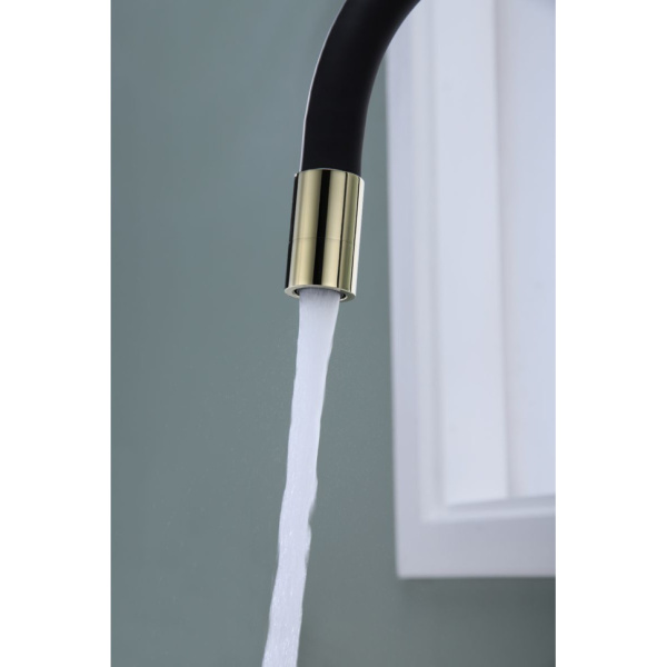 Смеситель для кухни с подключением к фильтру  Paulmark Salix Sa213419-G