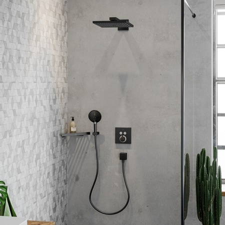 Ручной душ Hansgrohe Raindance Select S 120 3jet 26530340 шлифованный черный хром