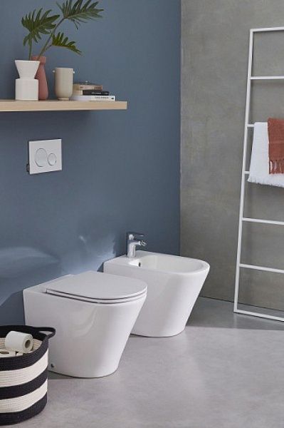 Биде напольное Jacob Delafon Rodin+ EBJ0002-00