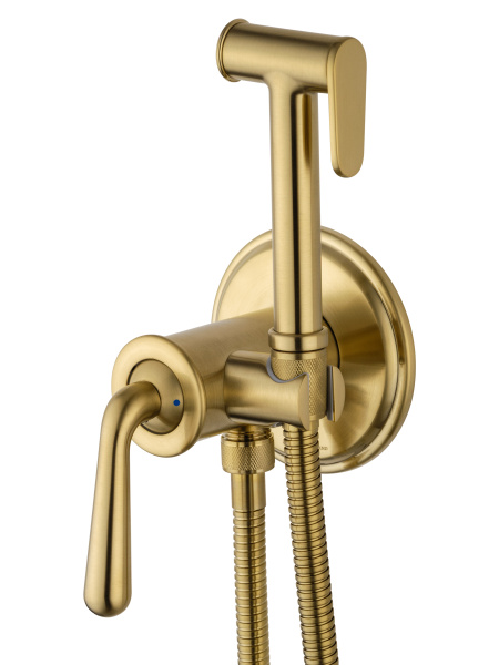 Смеситель с гигиеническим душем встраиваемый WONZON & WOGHAND STEAM, брашированное золото WW-88829008-BG Смеситель с гигиеническим душем встраиваемый WONZON & WOGHAND STEAM, брашированное золото WW-88829008-BG