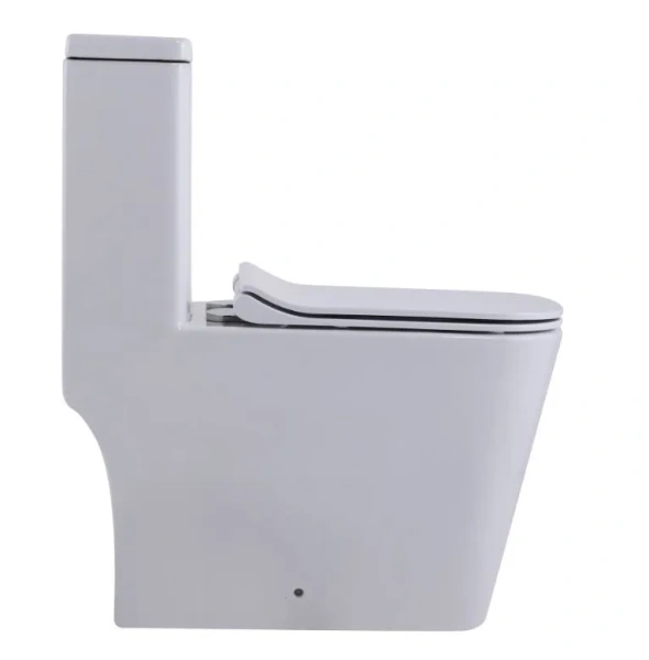 Унитаз напольный безободковый SantiLine SL-5024