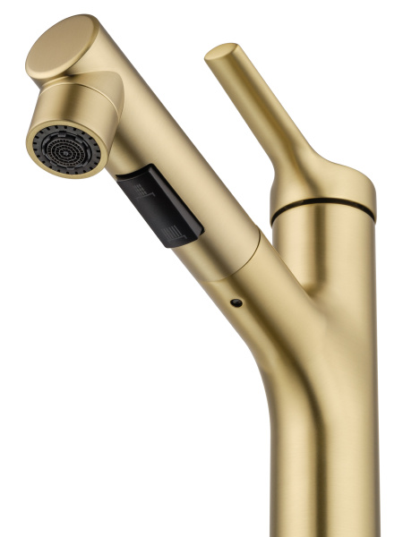 Смеситель для раковины с выдвижным изливом WONZON & WOGHAND, брашированное золото WW-A40862-BG Смеситель для раковины с выдвижным изливом WONZON & WOGHAND, брашированное золото WW-A40862-BG