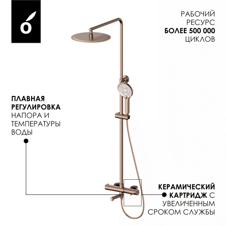 Душевая система с изливом Oliveeka OL-749017-BRG розовое золото
