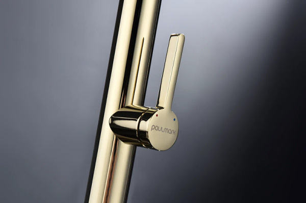 Смеситель для кухни Paulmark Leader Le214101-G