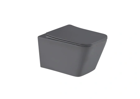 Подвесной унитаз безободковый Gid Tr2143TF-Dgm