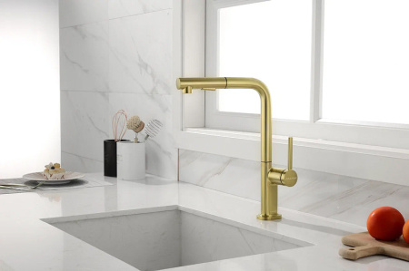 Смеситель для кухни Paulmark Neo Ne214419-SBG