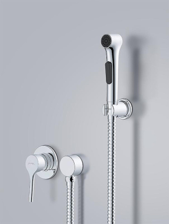 Гигиенический набор Jacob Delafon Elate E24610-CP