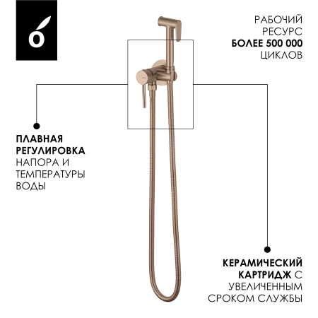 Гигиенический душ со смесителем Oliveeka OL-829902-BRG матовая медь
