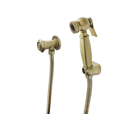 Гигиеническая лейка Bronze de Luxe WINDSOR 10134N 