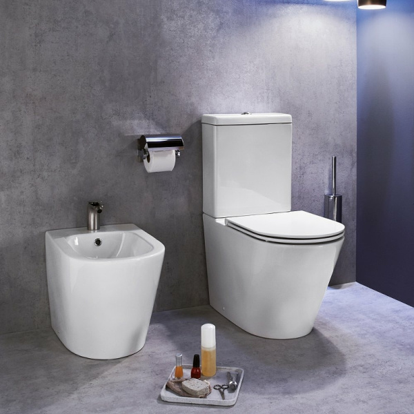 Биде напольное Jacob Delafon Rodin+ EBJ0002-00