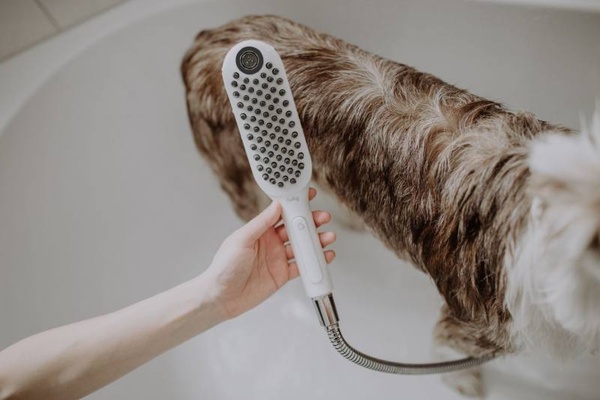 Ручной душ для мытья собак Hansgrohe DogShower 26640700 белый матовый