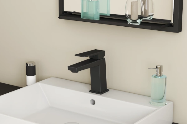 Смеситель для раковины RUSH Thira TR3635-12Black