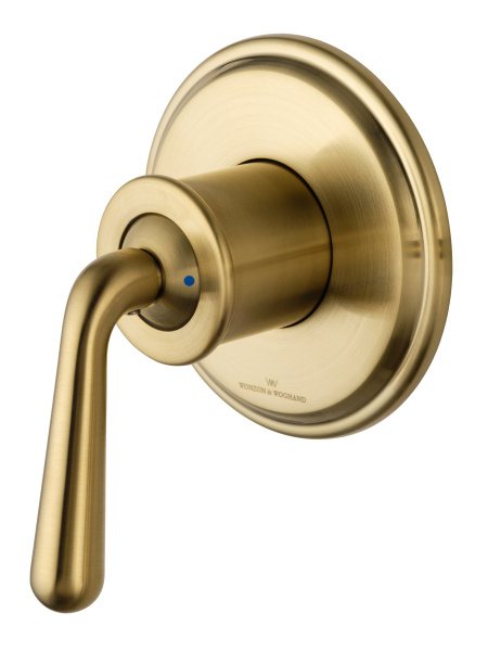 Смеситель с гигиеническим душем встраиваемый WONZON & WOGHAND STEAM, брашированное золото WW-88849008-BG